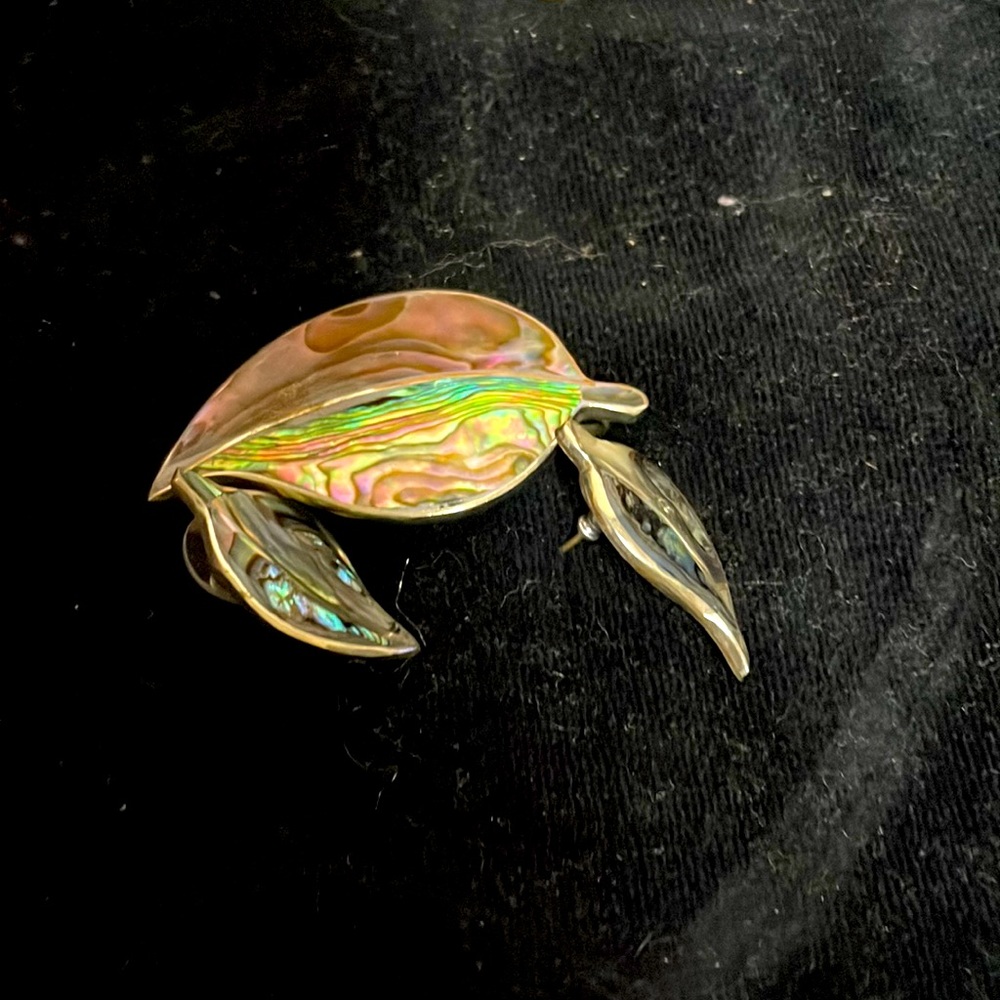 Brooche with earrings, shell looking on outside